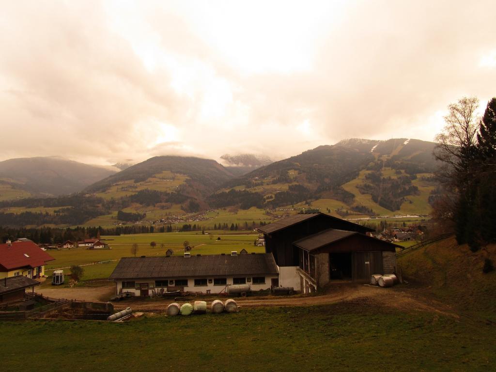 Appartment Stiegler Haus im Ennstal Bilik gambar