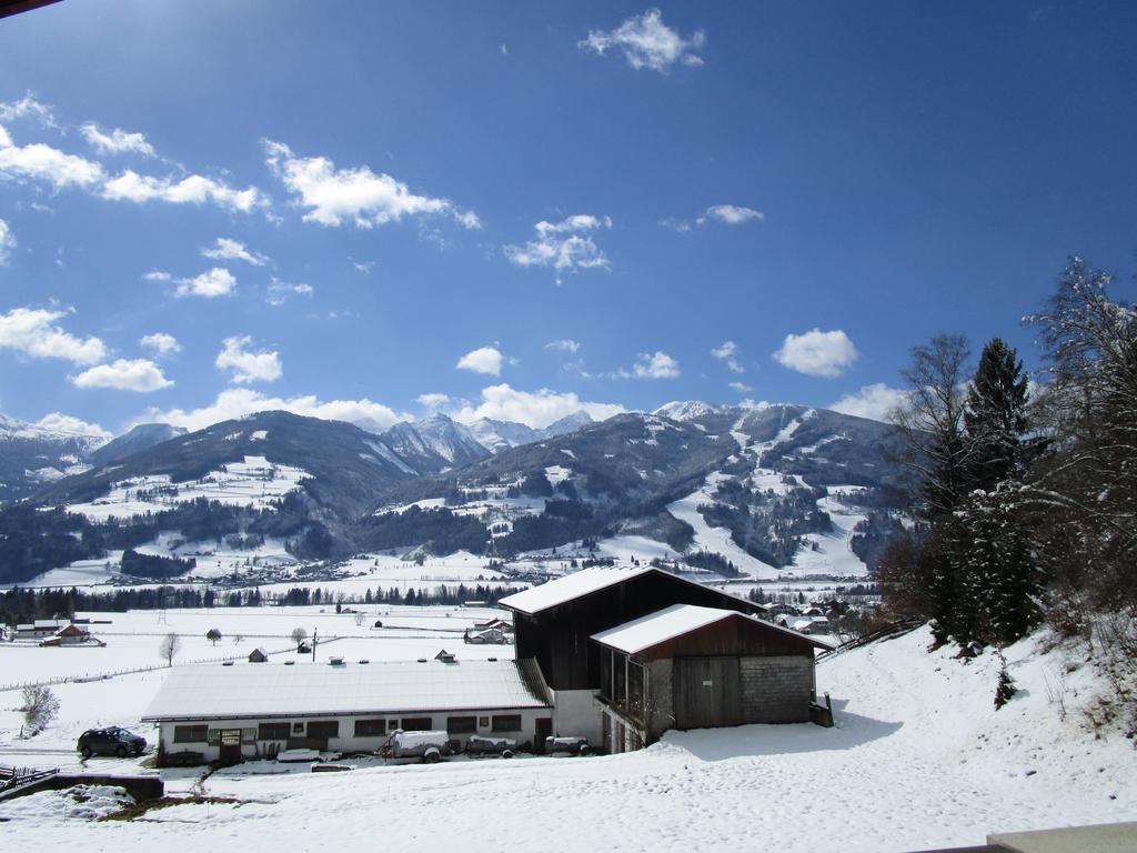 Appartment Stiegler Haus im Ennstal Luaran gambar